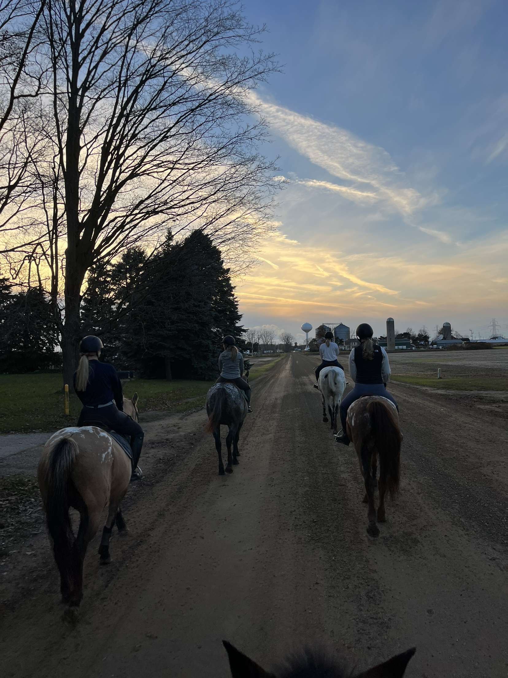 Team Trail Rides